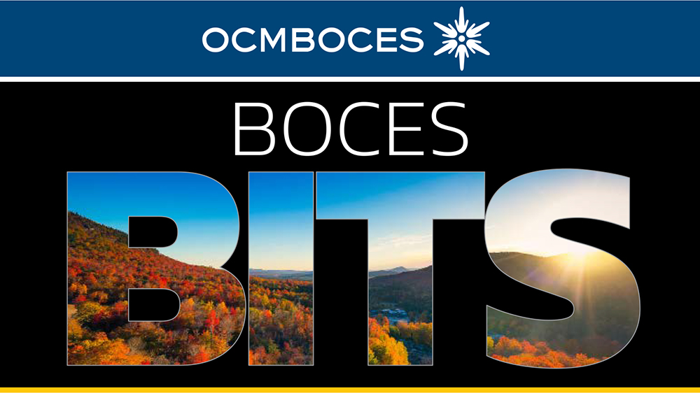 BOCES BITS